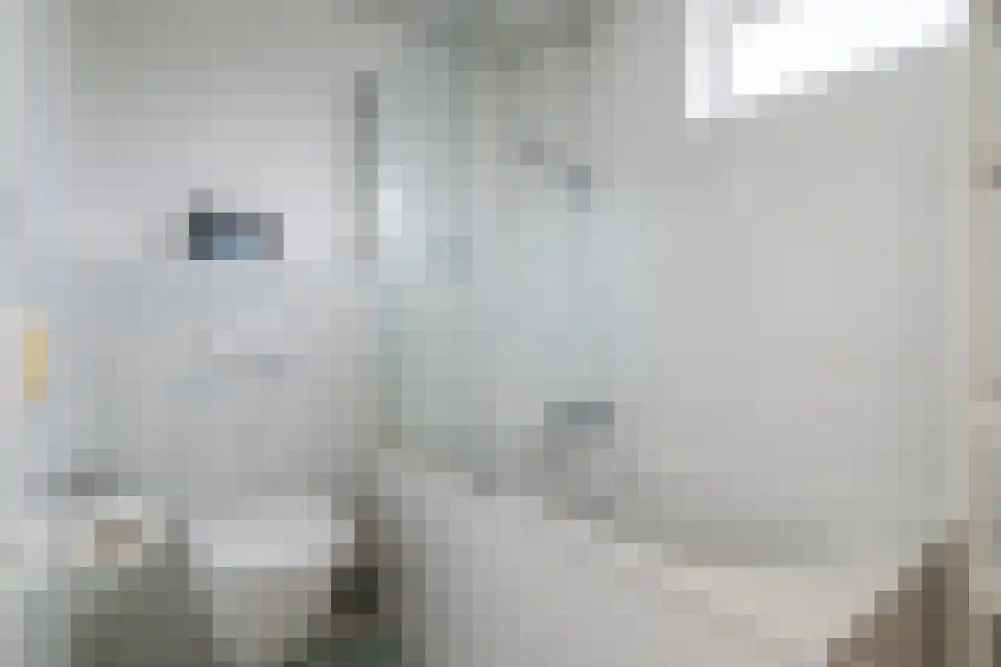 Dokter van Berckellaan 11 Heerlen thumbnail 15