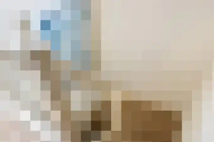 Dokter van Dalelaan 32 Ermelo thumbnail 14