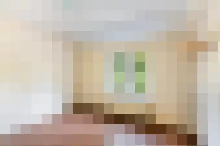 Dokter van Dalelaan 32 Ermelo thumbnail 15