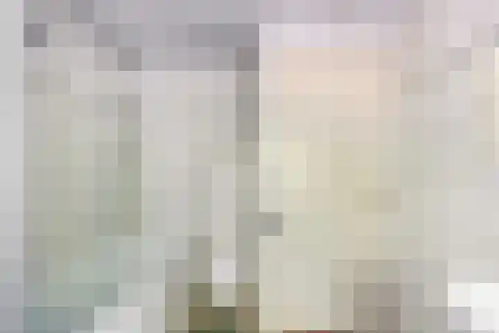 Dokter van Dalelaan 32 Ermelo thumbnail 20