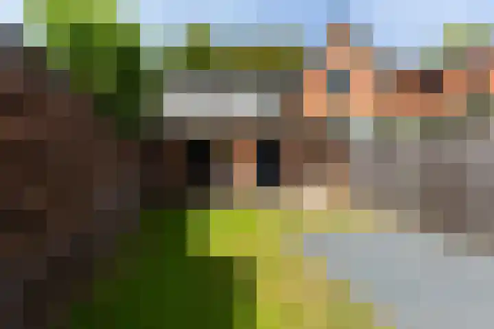 Dokter van Dalelaan 32 Ermelo thumbnail 21