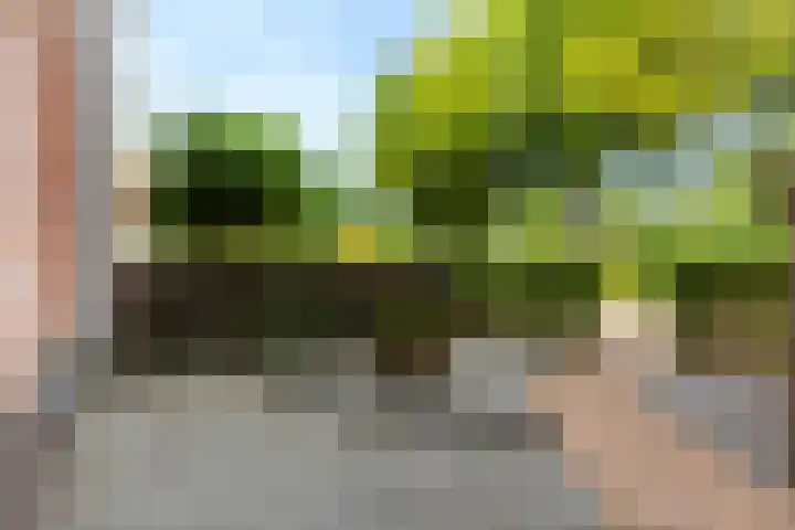 Dokter van Dalelaan 32 Ermelo thumbnail 27