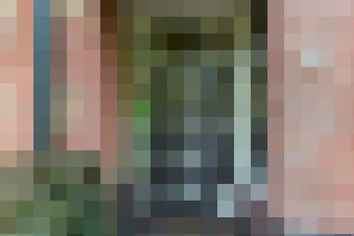 Dokter van Dalelaan 32 Ermelo foto 3