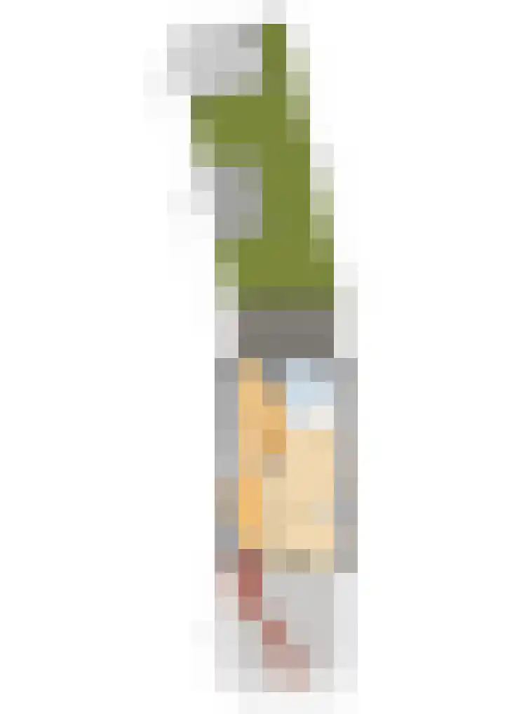 Dokter van Dalelaan 32 Ermelo thumbnail 33
