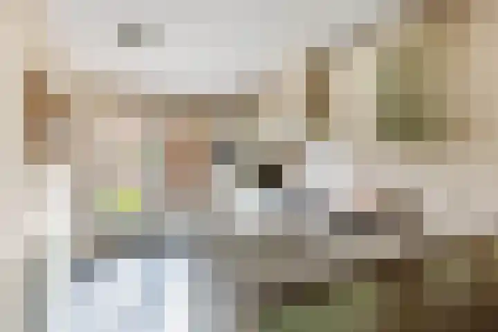 Dokter van Dalelaan 32 Ermelo thumbnail 8