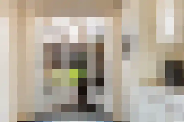 Dokter van Dalelaan 32 Ermelo thumbnail 9