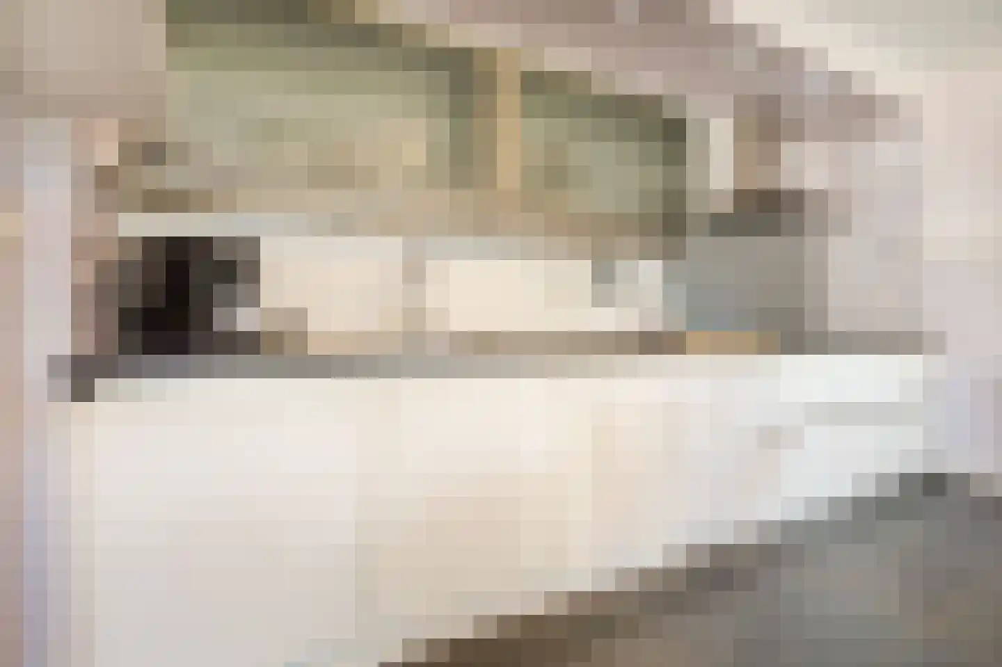 dokter van de Karplein 4 Hoogerheide thumbnail 10