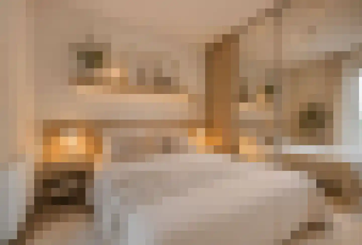 dokter van de Karplein 4 Hoogerheide thumbnail 13