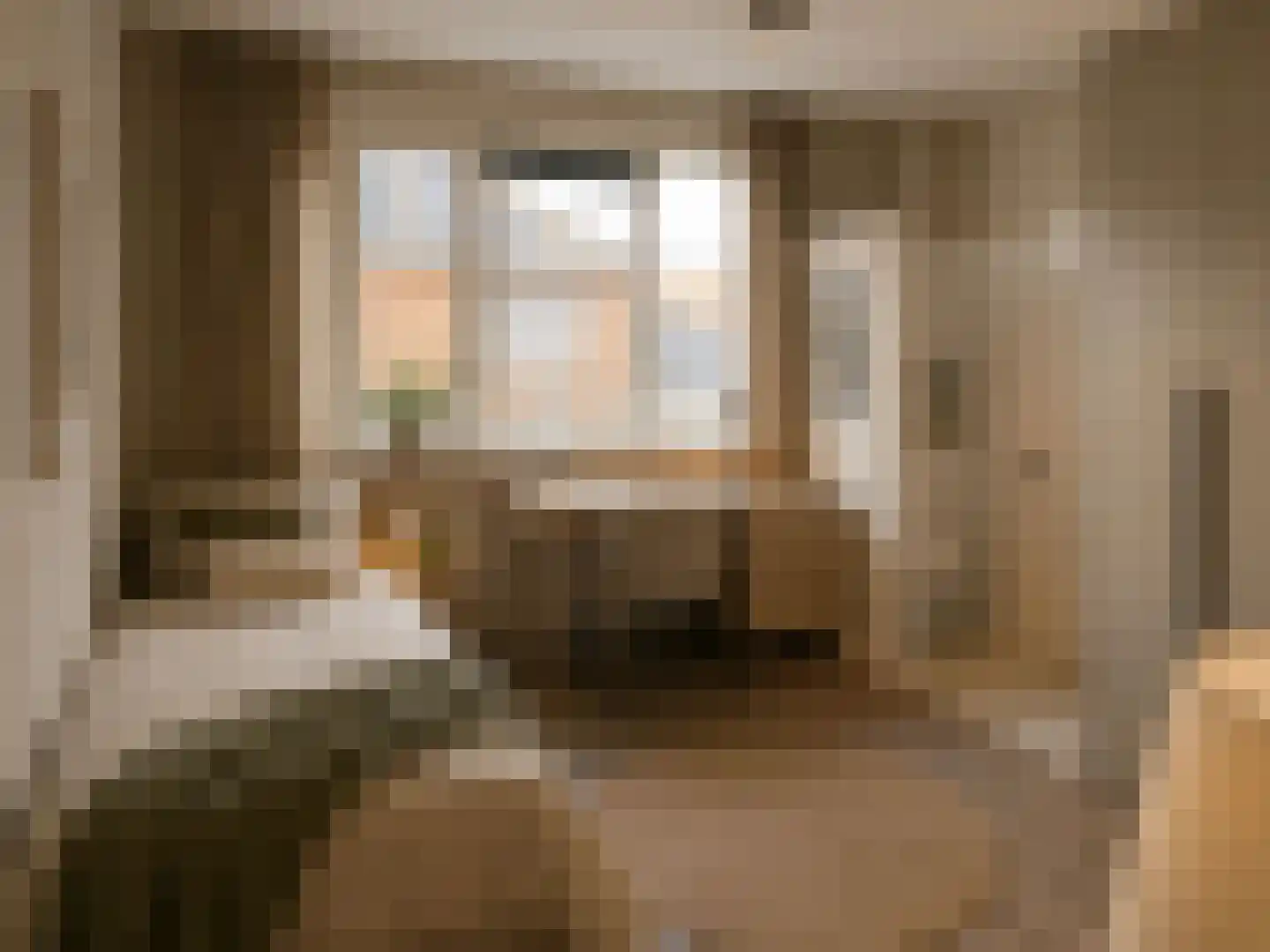 dokter van de Karplein 4 Hoogerheide thumbnail 22