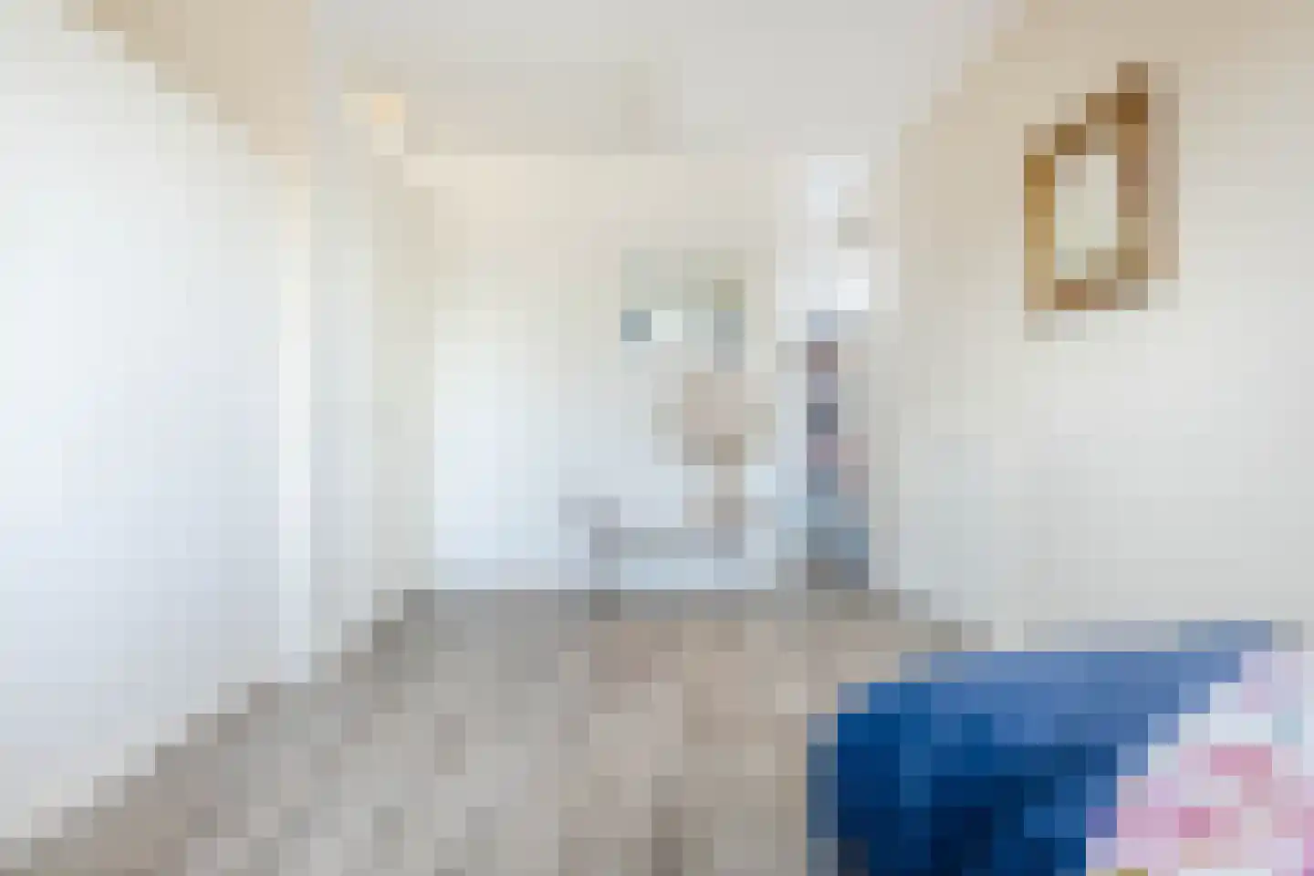 dokter van de Karplein 4 Hoogerheide thumbnail 26