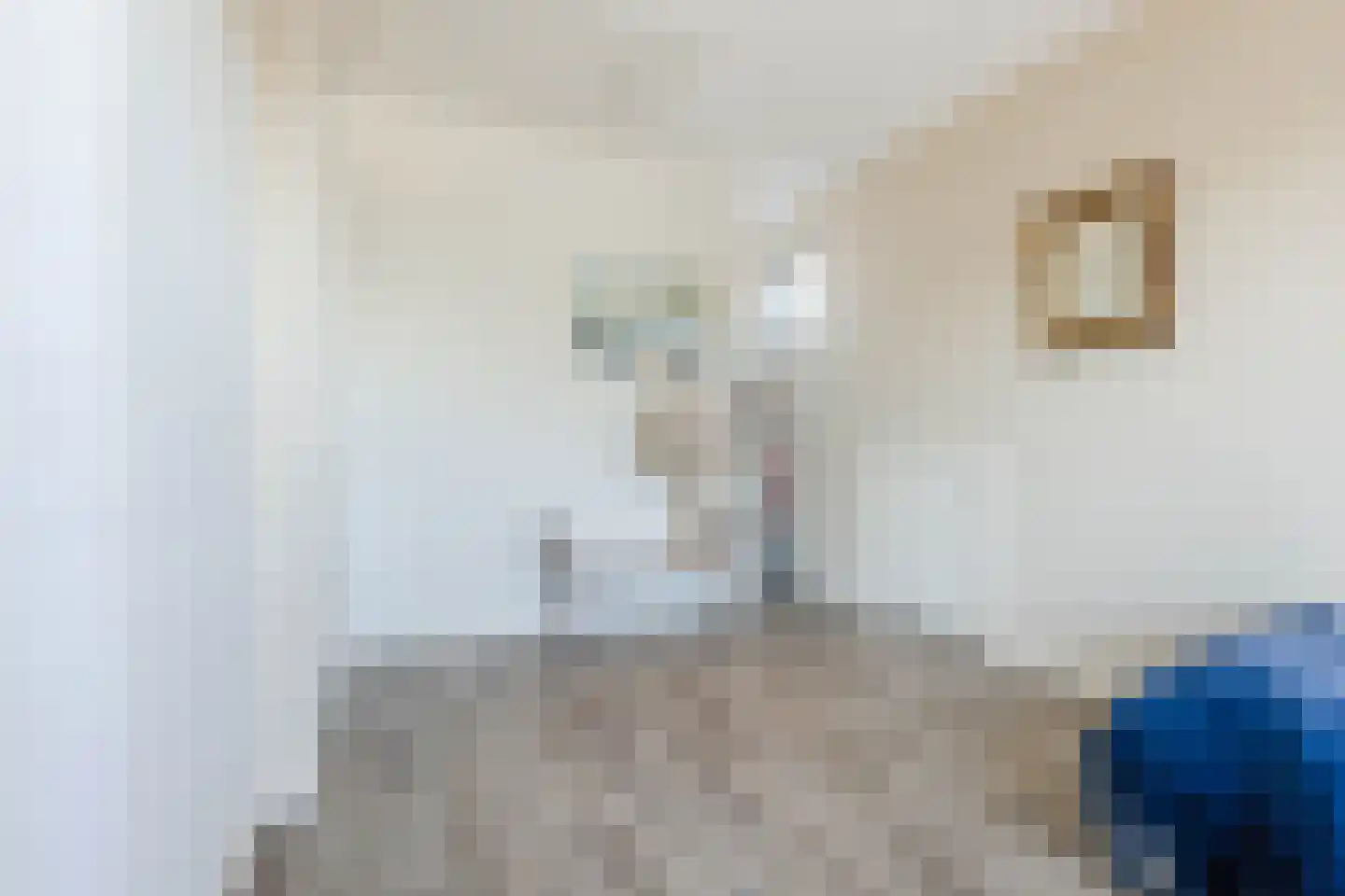 dokter van de Karplein 4 Hoogerheide thumbnail 27