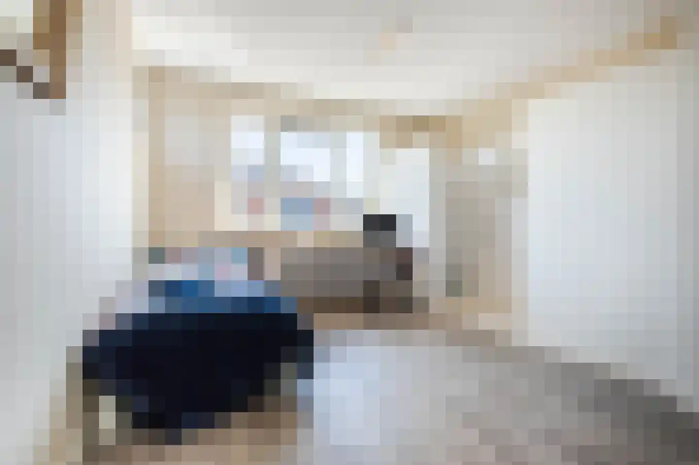 dokter van de Karplein 4 Hoogerheide thumbnail 28
