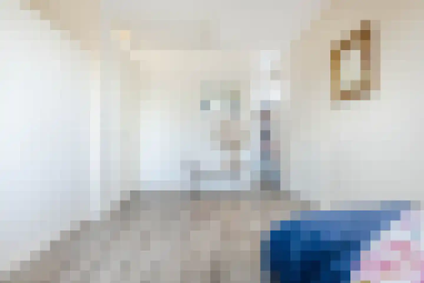 dokter van de Karplein 4 Hoogerheide thumbnail 29