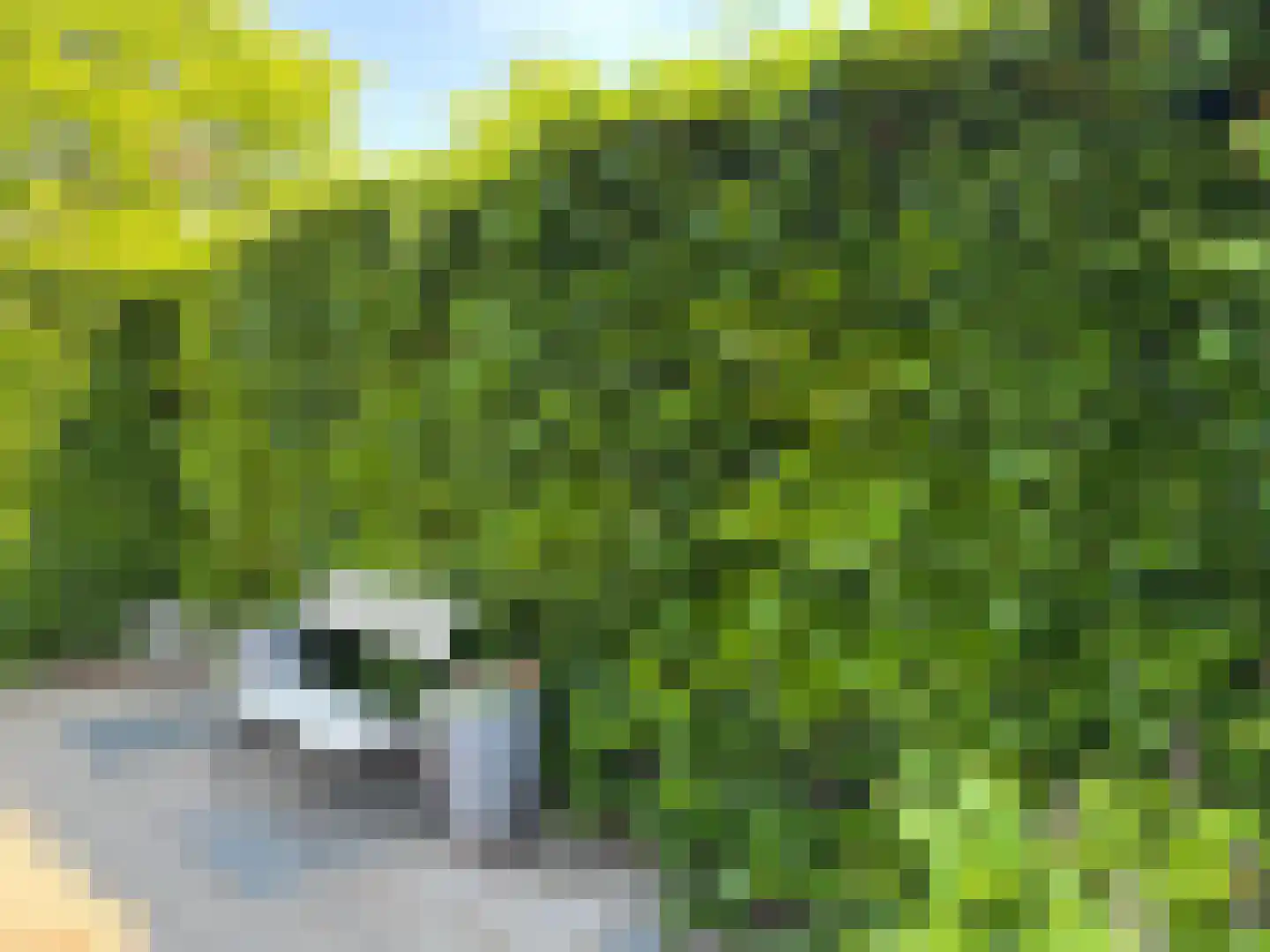 dokter van de Karplein 4 Hoogerheide thumbnail 30
