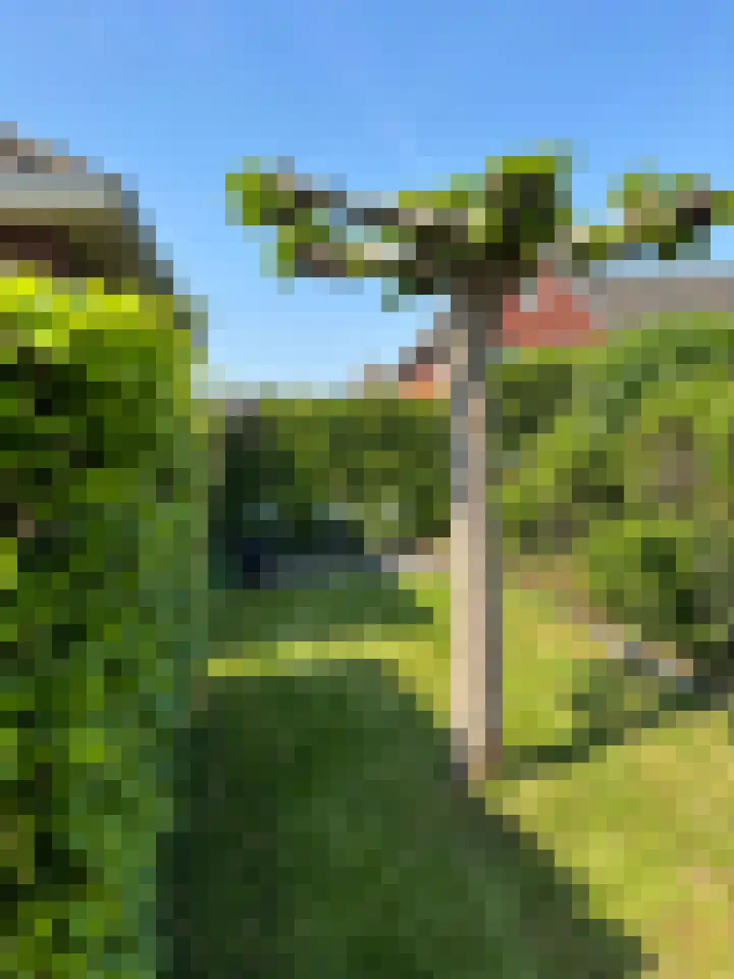 dokter van de Karplein 4 Hoogerheide thumbnail 33