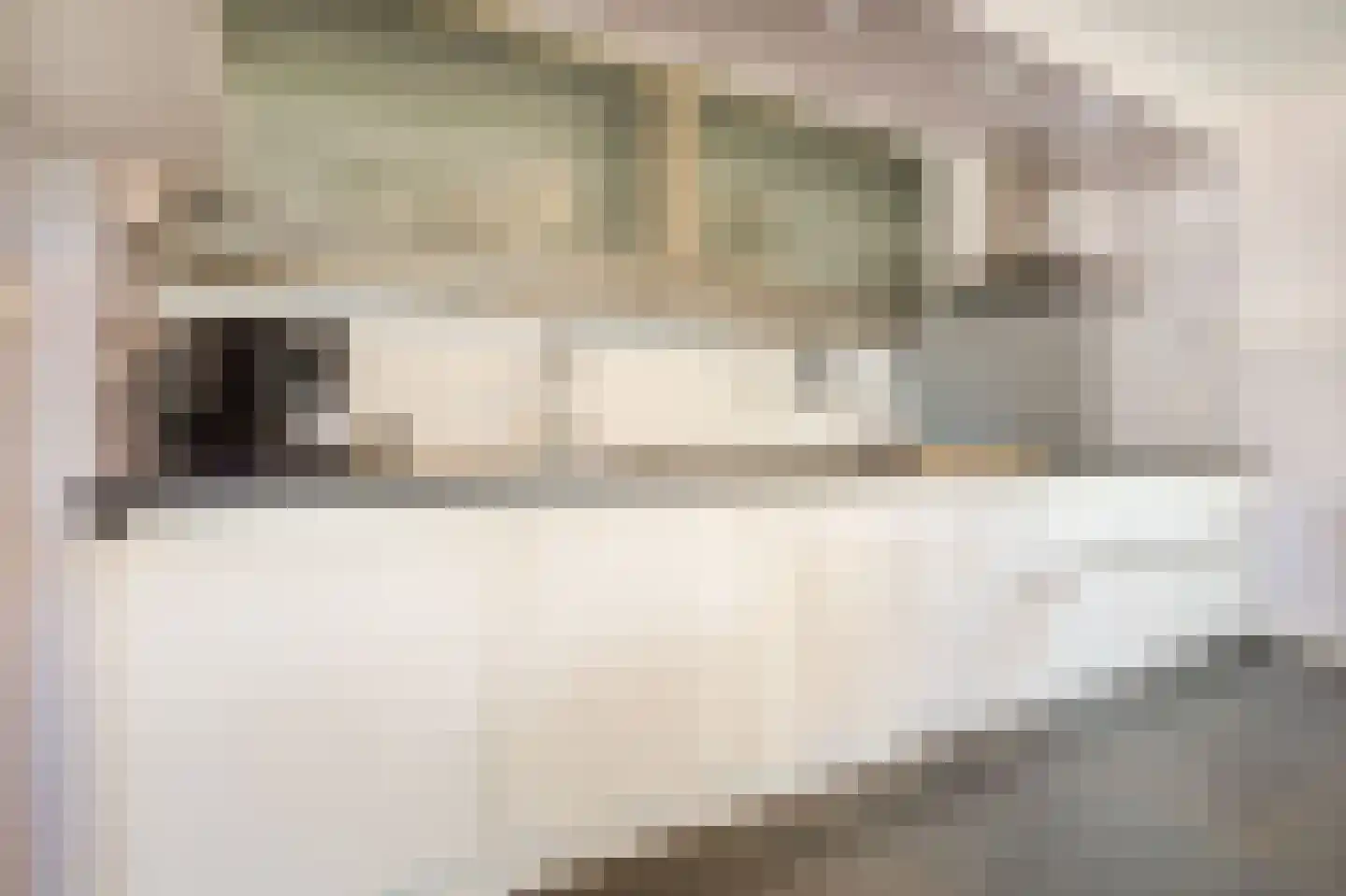 dokter van de Karplein 4 Hoogerheide thumbnail 6