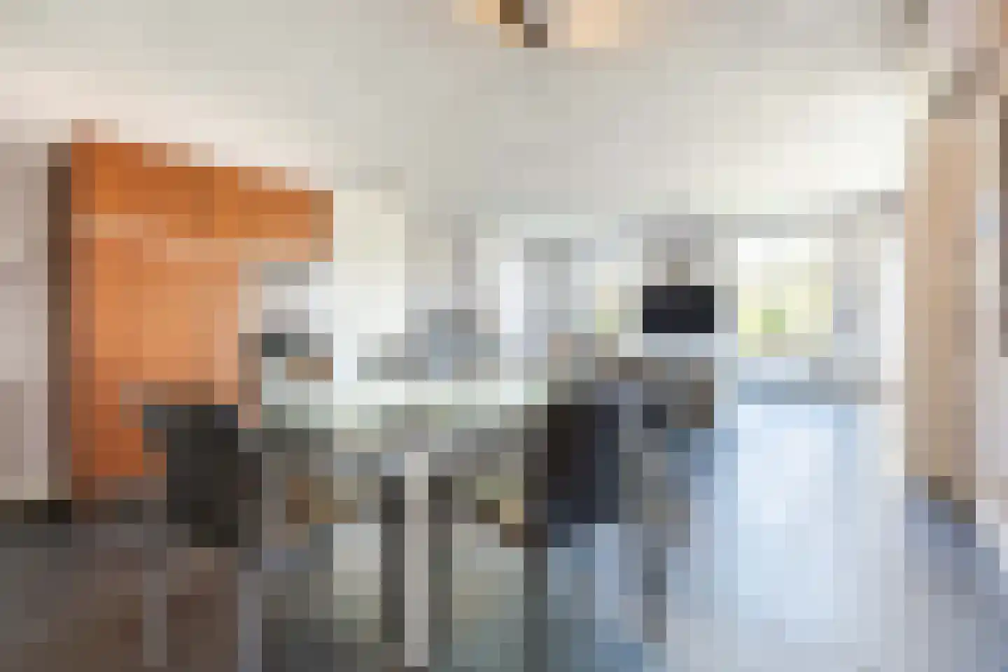 dokter van de Karplein 4 Hoogerheide thumbnail 8