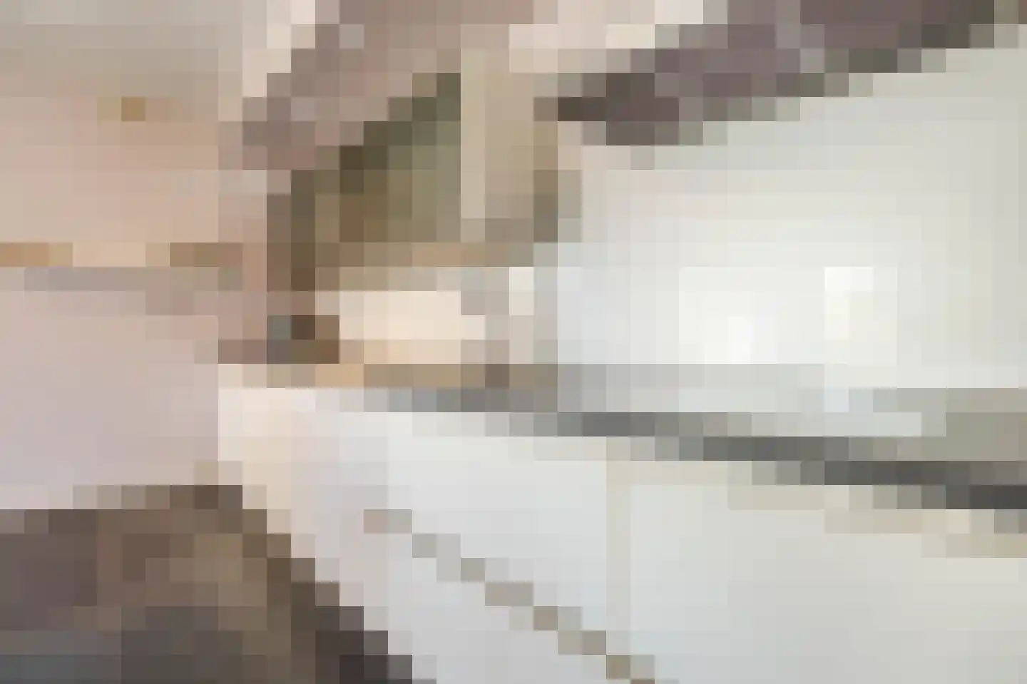 dokter van de Karplein 4 Hoogerheide thumbnail 9