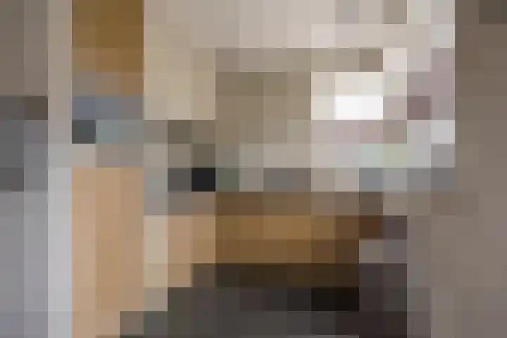 Dokter van de Kolkstraat 1 Nijkerkerveen thumbnail 14