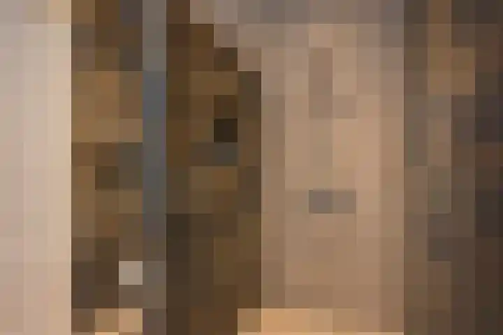 Dokter van de Kolkstraat 1 Nijkerkerveen thumbnail 26