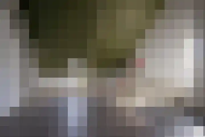 Dokter van de Kolkstraat 1 Nijkerkerveen thumbnail 29