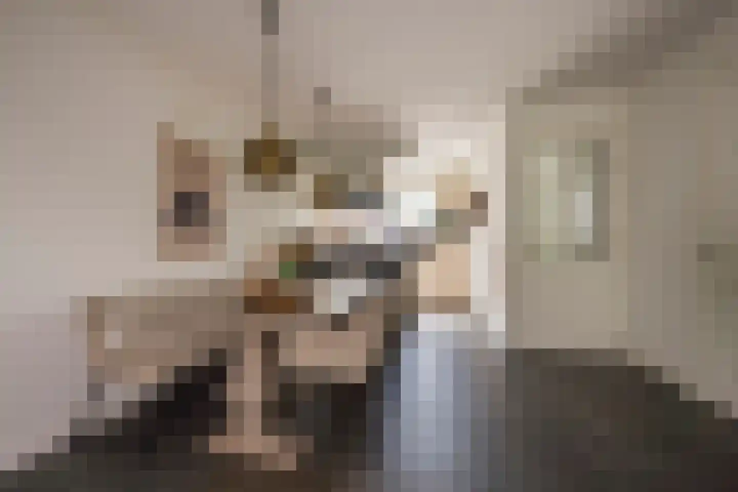 Dokter van de Kolkstraat 10 Nijkerkerveen thumbnail 12