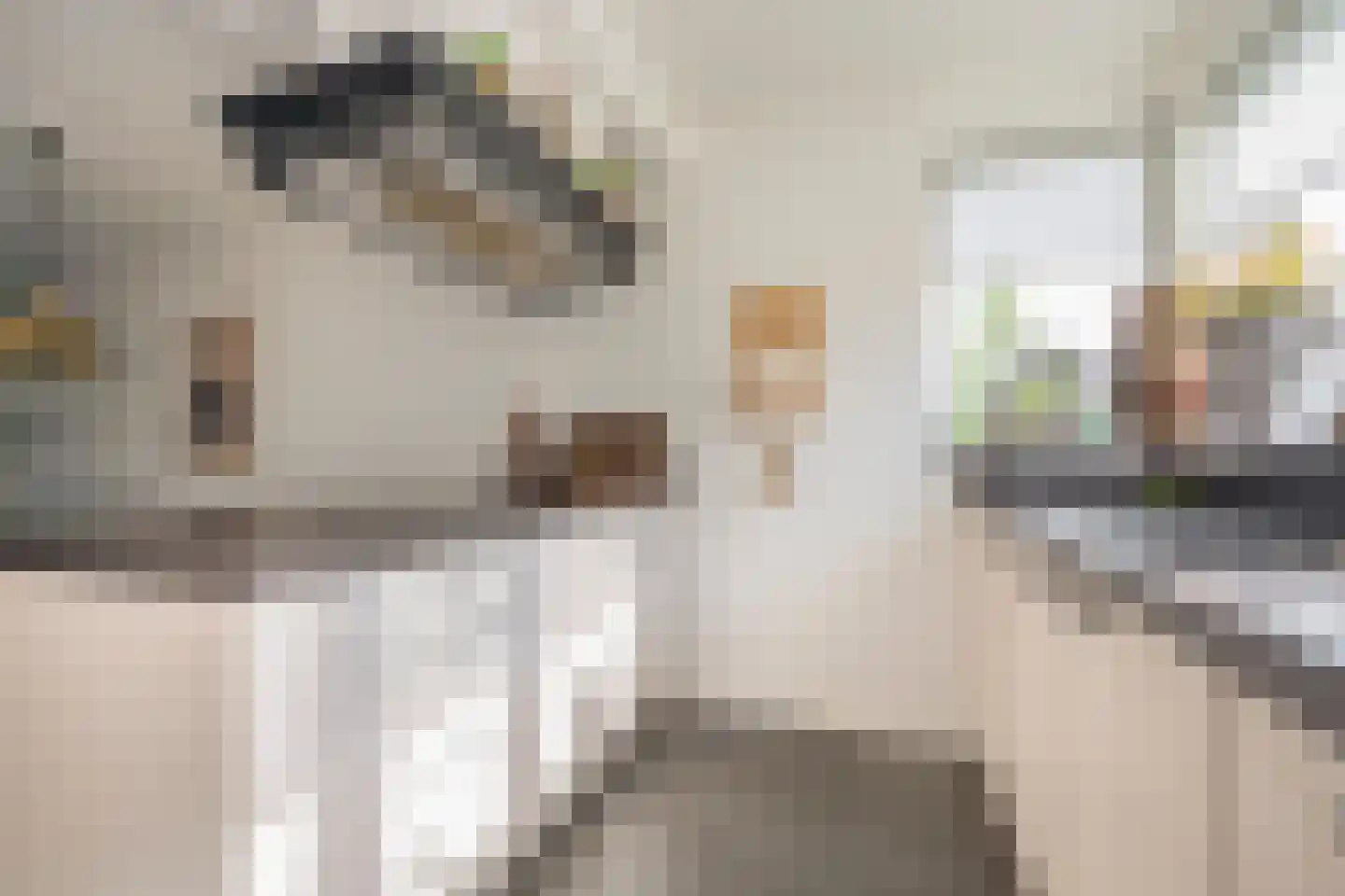 Dokter van de Kolkstraat 10 Nijkerkerveen thumbnail 14
