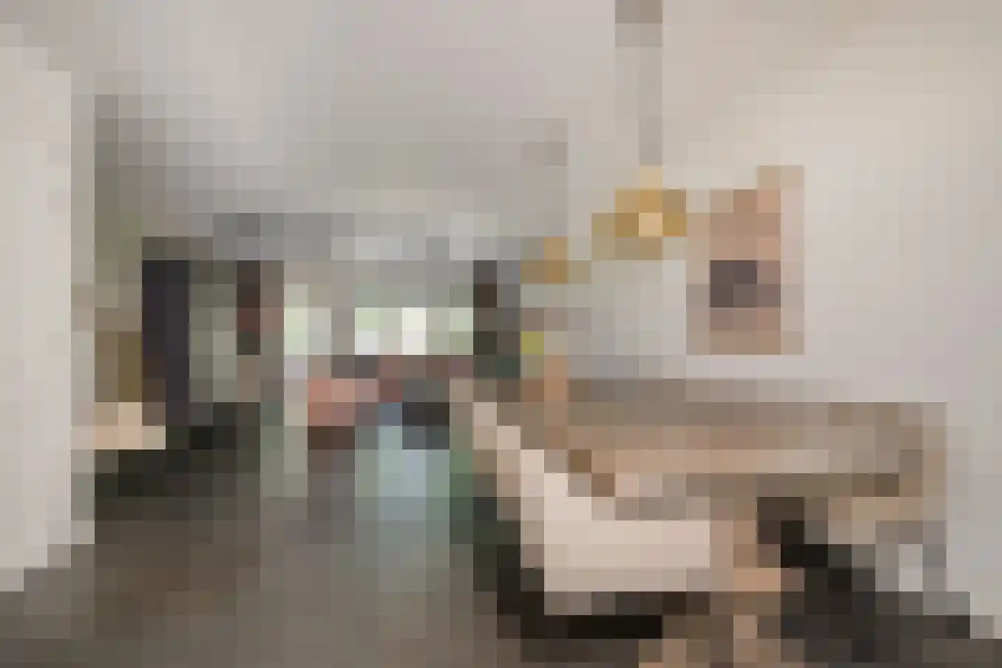 Dokter van de Kolkstraat 10 Nijkerkerveen thumbnail 16