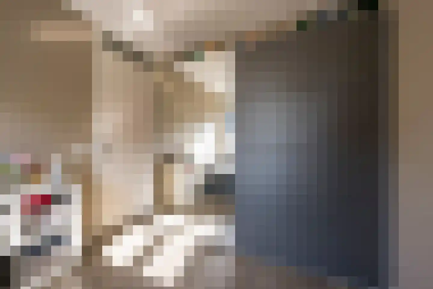 Dokter van de Kolkstraat 10 Nijkerkerveen thumbnail 25