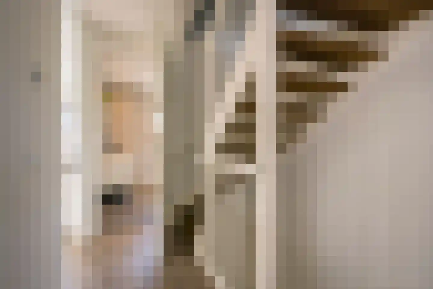 Dokter van de Kolkstraat 10 Nijkerkerveen thumbnail 26