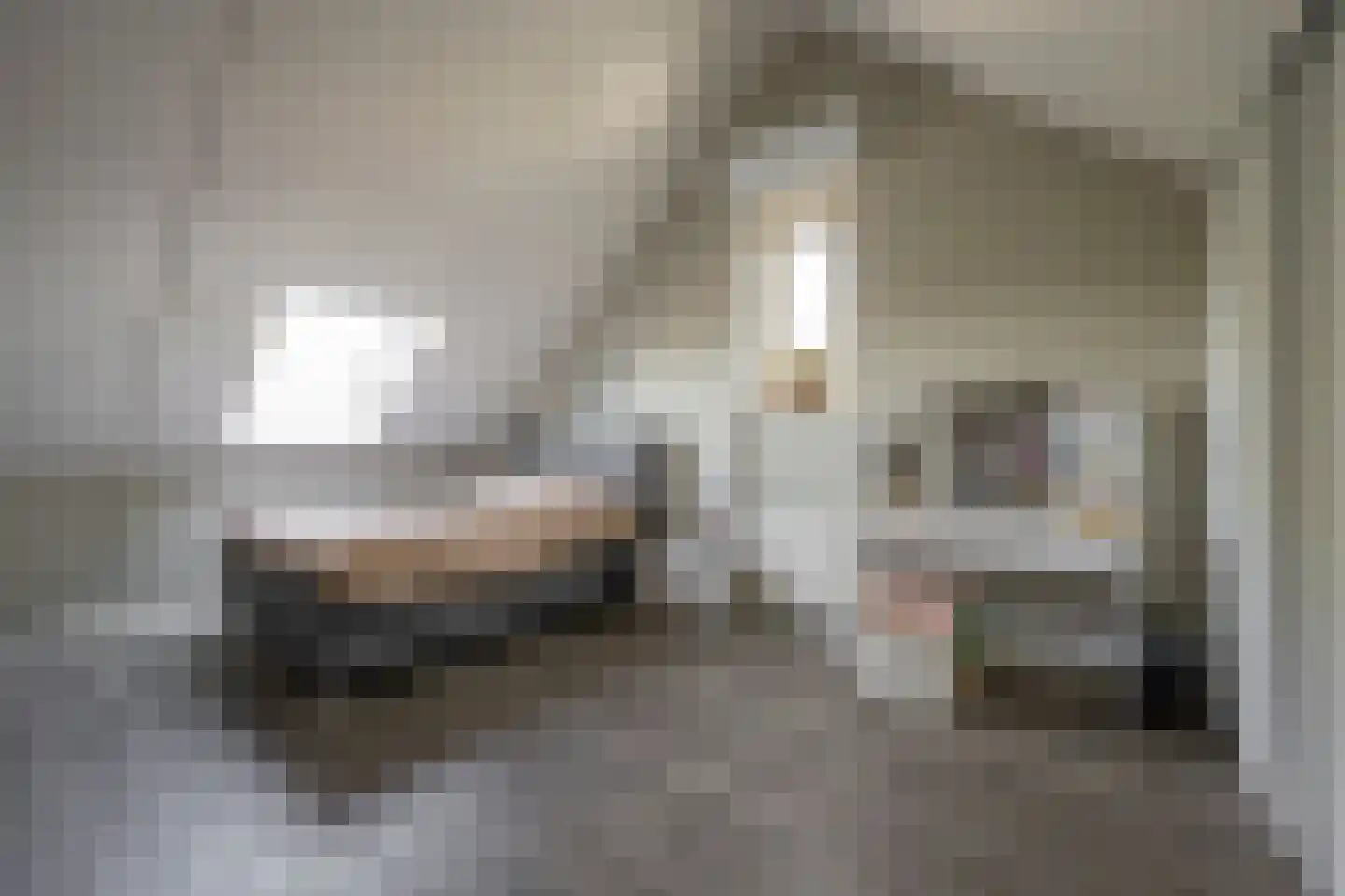 Dokter van de Kolkstraat 10 Nijkerkerveen thumbnail 29