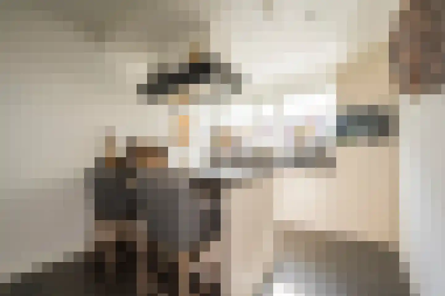 Dokter van de Kolkstraat 10 Nijkerkerveen foto 3