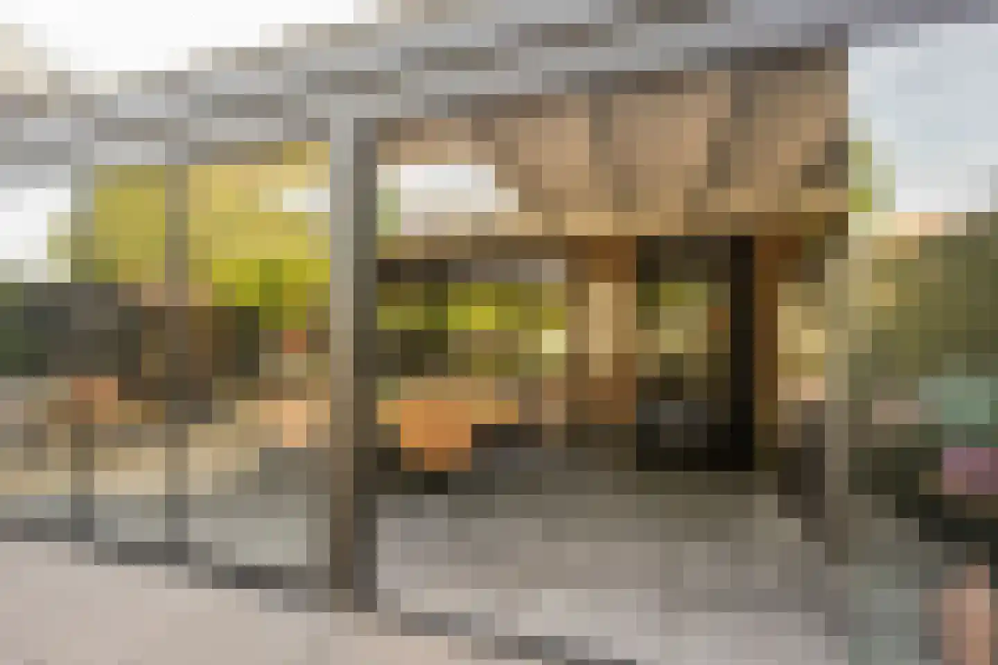Dokter van de Kolkstraat 10 Nijkerkerveen thumbnail 33