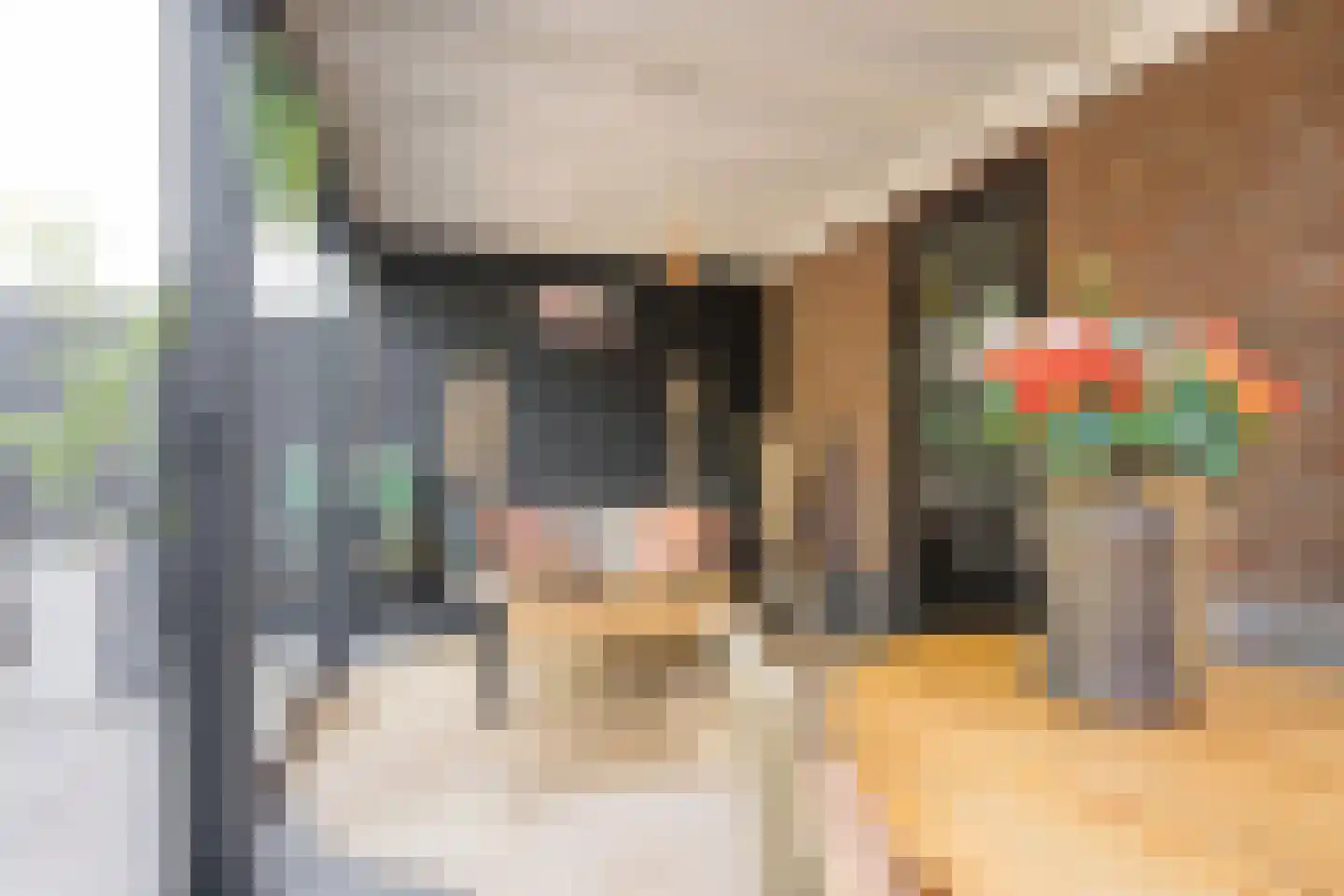 Dokter van de Kolkstraat 10 Nijkerkerveen thumbnail 34