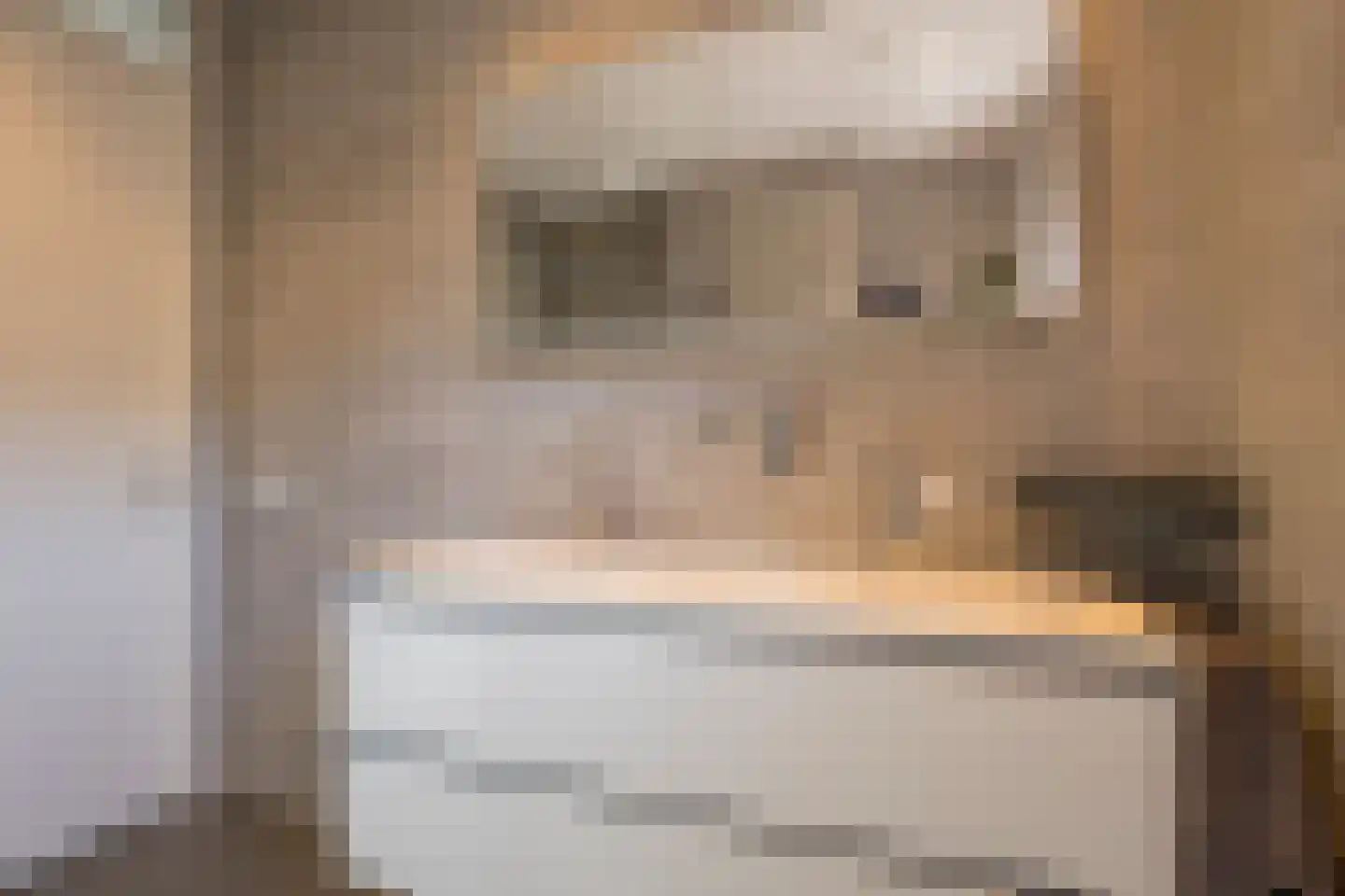 Dokter van de Kolkstraat 10 Nijkerkerveen thumbnail 4