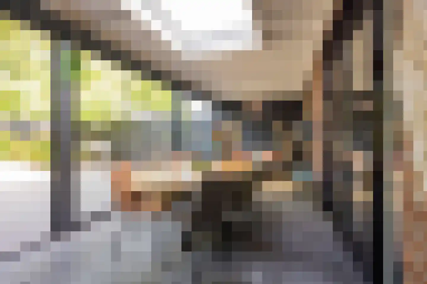 Dokter van de Kolkstraat 10 Nijkerkerveen thumbnail 5