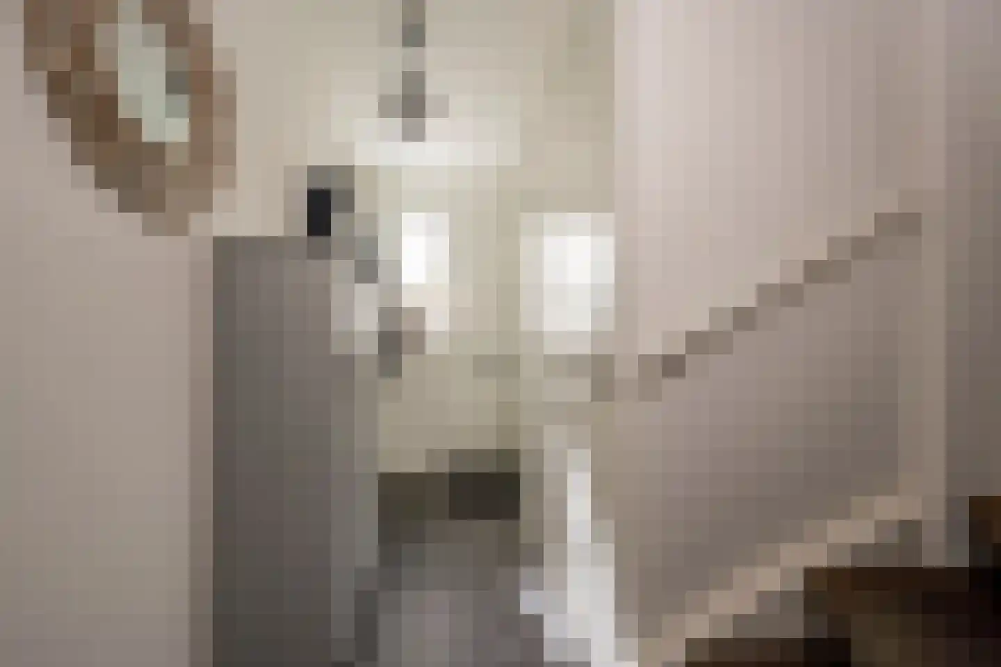 Dokter van de Kolkstraat 10 Nijkerkerveen thumbnail 8