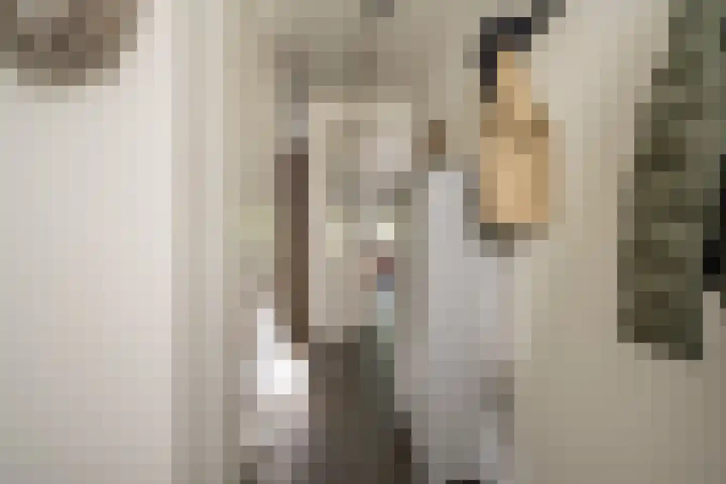 Dokter van de Kolkstraat 10 Nijkerkerveen thumbnail 9