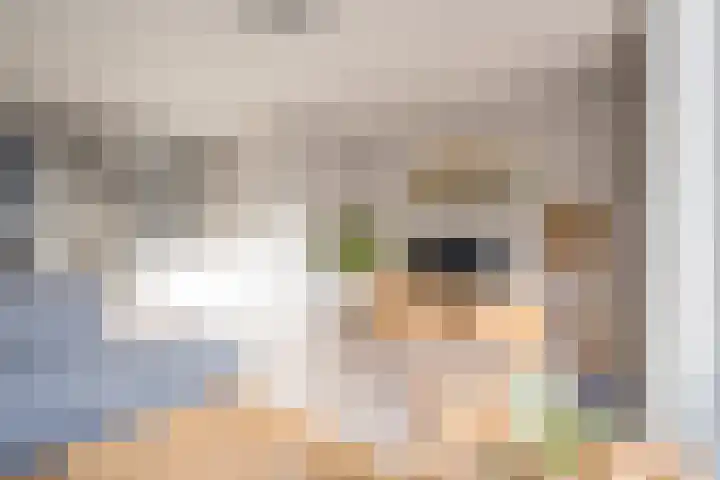Dokter van de Kolkstraat 5 Nijkerkerveen thumbnail 11