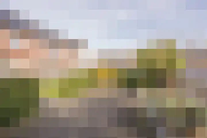Dokter van de Kolkstraat 5 Nijkerkerveen thumbnail 33