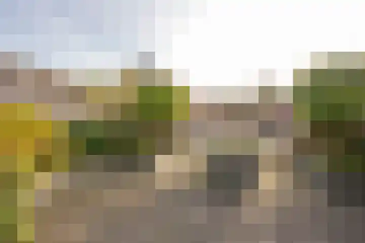 Dokter van de Kolkstraat 5 Nijkerkerveen thumbnail 34
