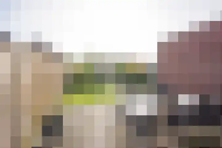 Dokter van de Kolkstraat 5 Nijkerkerveen thumbnail 36