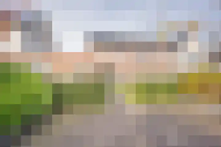 Dokter van de Kolkstraat 5 Nijkerkerveen thumbnail 4