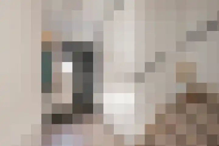 Dokter van de Kolkstraat 5 Nijkerkerveen thumbnail 6