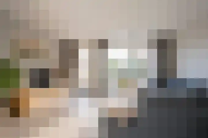 Dokter van de Kolkstraat 5 Nijkerkerveen thumbnail 9
