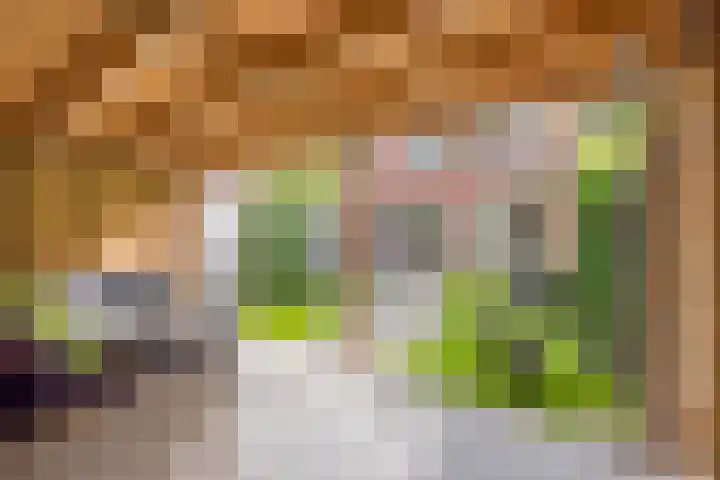 Dokter van de Kolkstraat 64 Nijkerkerveen thumbnail 24