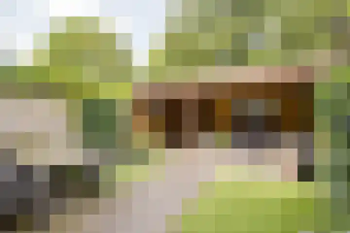 Dokter van de Kolkstraat 64 Nijkerkerveen thumbnail 26