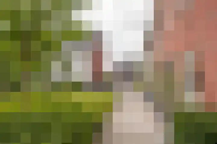 Dokter van de Kolkstraat 64 Nijkerkerveen thumbnail 28