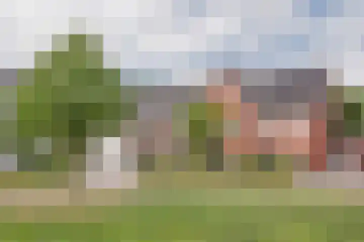 Dokter van de Kolkstraat 64 Nijkerkerveen thumbnail 31