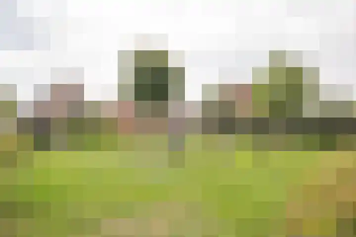 Dokter van de Kolkstraat 64 Nijkerkerveen thumbnail 32